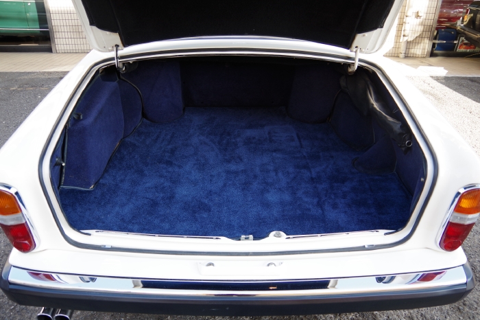79shdow2-white-blue (23).JPG