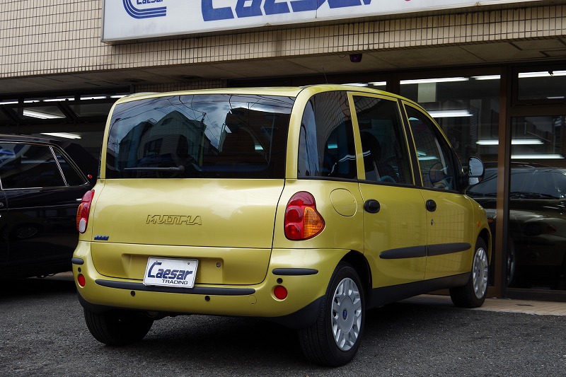 03multipla-yellow (12).jpg