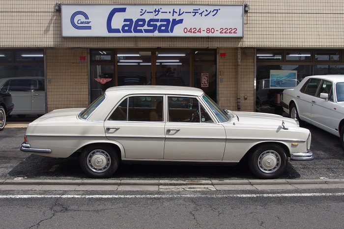 メルセデス ベンツ 縦目 旧車 67〜 ホワイトハンドル パット リング 