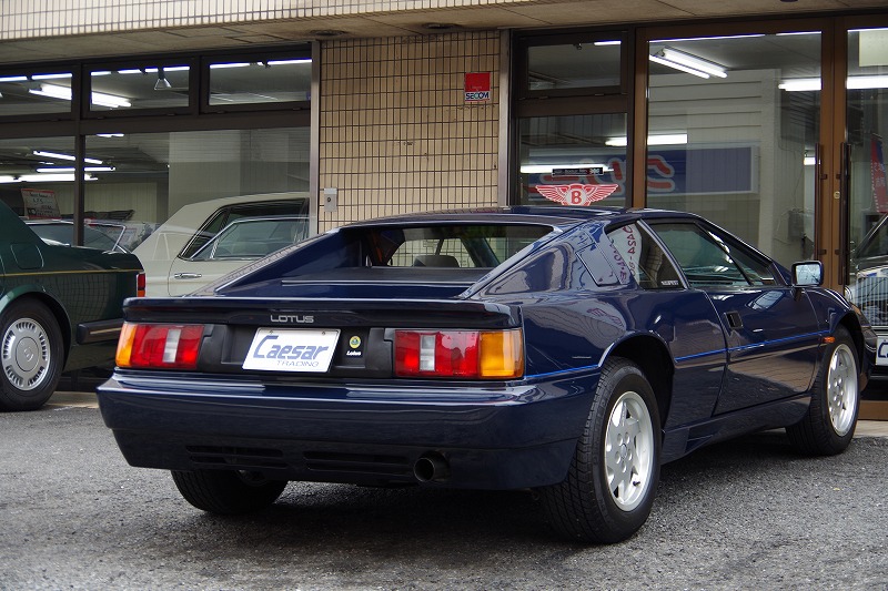 88lotusesprit (12).jpg