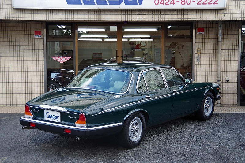 91dd6green (2).jpg