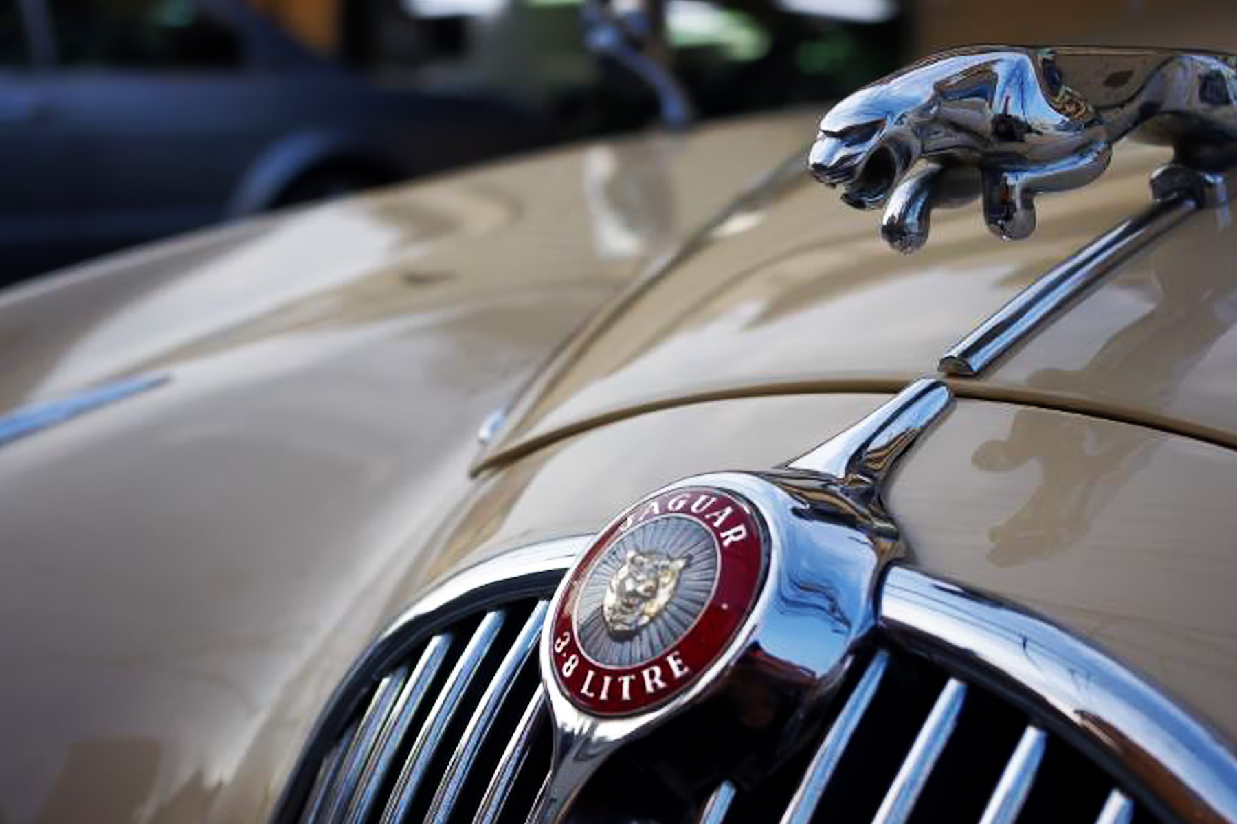 本文へスキップ Rolls Royce Bentley Specialist 株式会社シーザートレーディング Tel 042 480 2222 営業時間10 00 00 東京都調布市西つつじヶ丘1 58 12 Caesar Collectionsheadline Jaguar Auto Maker Jaguar Model Mk 2 3 8